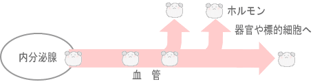 生理不順について