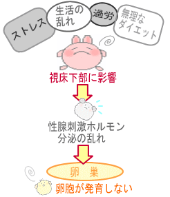 生理不順について