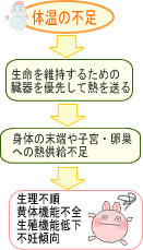 黄体機能不全と冷えの関係