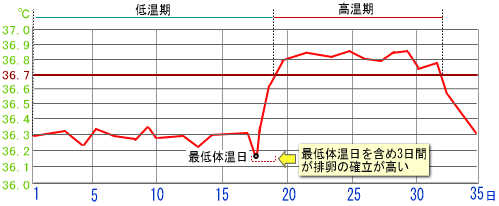 基礎体温表