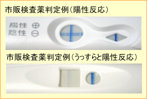 妊娠検査薬判定例